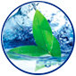 nature-salt-gel