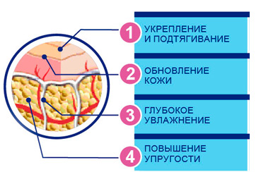 action-elasticity-scrub4ew